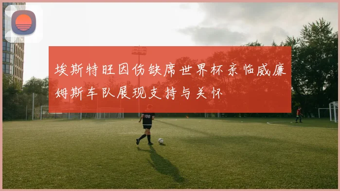 埃斯特旺因伤缺席世界杯亲临威廉姆斯车队展现支持与关怀
