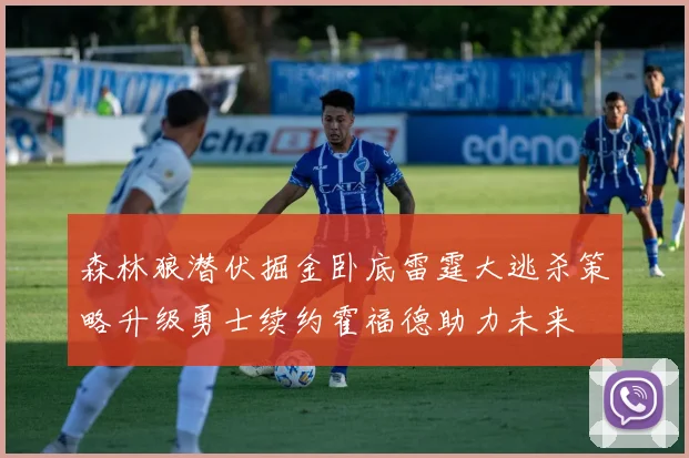 森林狼潜伏掘金卧底雷霆大逃杀策略升级勇士续约霍福德助力未来